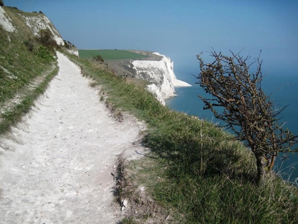 Zdjęcie z Wielkiej Brytanii - Biale klify w Dover