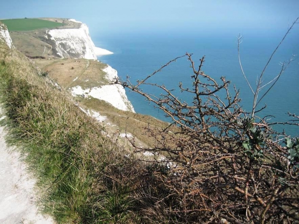Zdjęcie z Wielkiej Brytanii - Biale klify w Dover