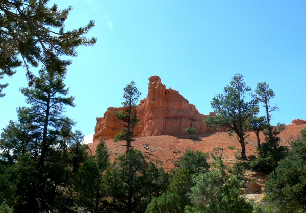 Zdjęcie ze Stanów Zjednoczonych - Red Canyon