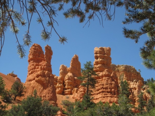 Zdjęcie ze Stanów Zjednoczonych - Red Canyon