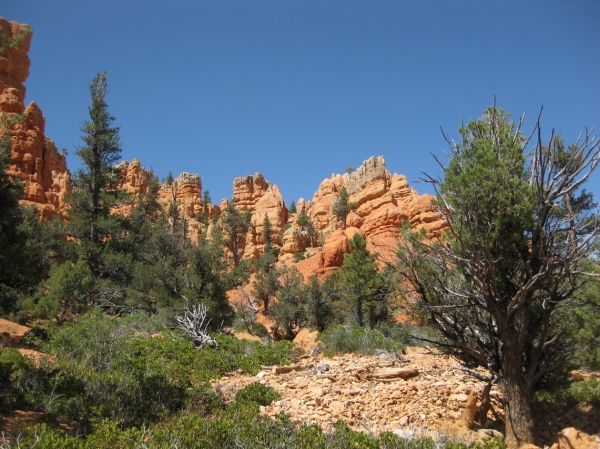 Zdjęcie ze Stanów Zjednoczonych - Red Canyon