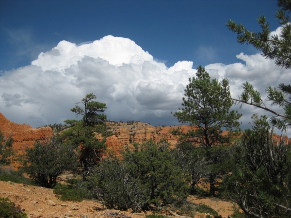 Zdjęcie ze Stanów Zjednoczonych - Red Canyon