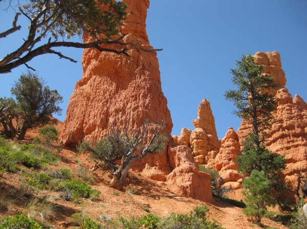 Zdjęcie ze Stanów Zjednoczonych - Red Canyon
