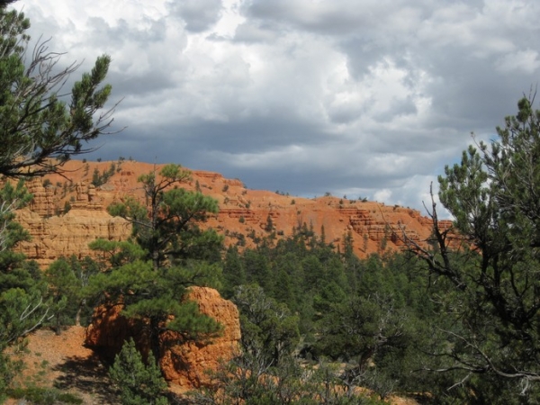 Zdjęcie ze Stanów Zjednoczonych - Red Canyon