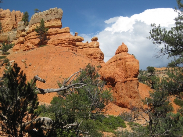 Zdjęcie ze Stanów Zjednoczonych - Red Canyon
