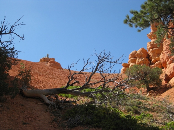 Zdjęcie ze Stanów Zjednoczonych - Red Canyon