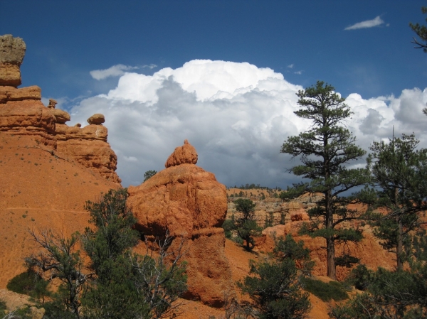Zdjęcie ze Stanów Zjednoczonych - Red Canyon