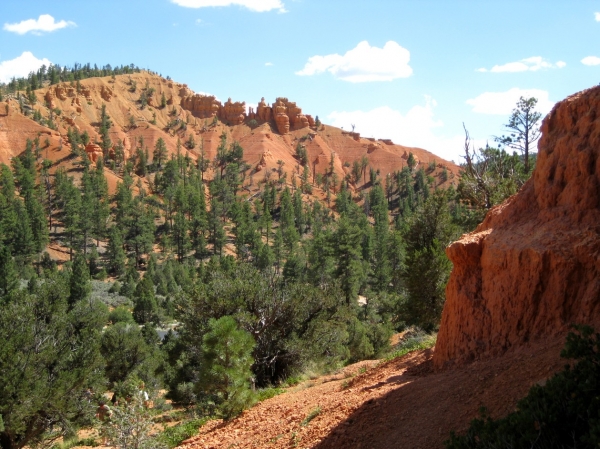 Zdjęcie ze Stanów Zjednoczonych - Red Canyon