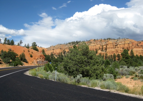 Zdjęcie ze Stanów Zjednoczonych - Red Canyon