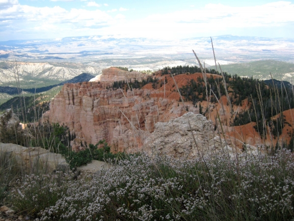 Zdjęcie ze Stanów Zjednoczonych - Bryce Canyon