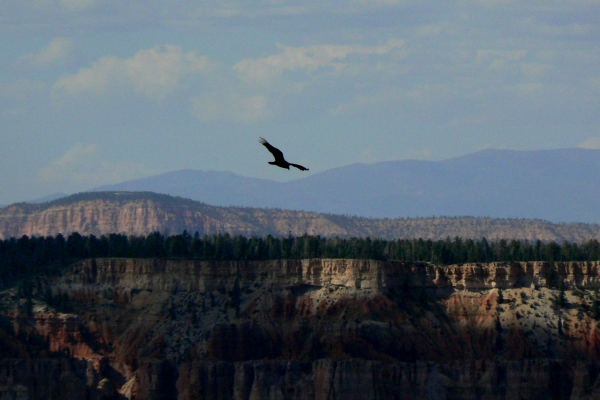 Zdjęcie ze Stanów Zjednoczonych - Bryce Canyon