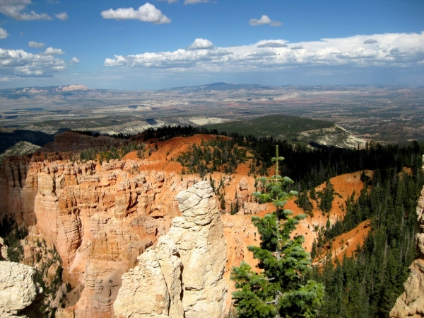 Zdjęcie ze Stanów Zjednoczonych - Bryce Canyon
