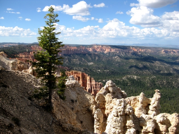 Zdjęcie ze Stanów Zjednoczonych - Bryce Canyon