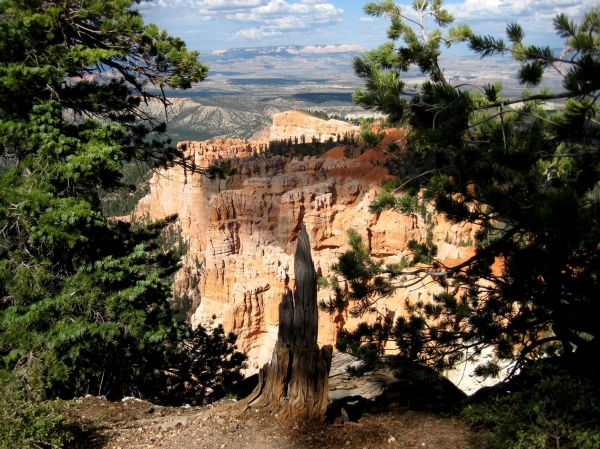 Zdjęcie ze Stanów Zjednoczonych - Bryce Canyon