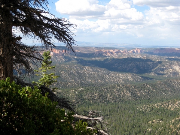 Zdjęcie ze Stanów Zjednoczonych - Bryce Canyon
