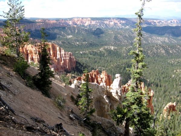 Zdjęcie ze Stanów Zjednoczonych - Bryce Canyon