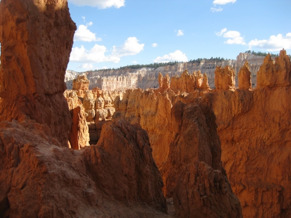 Zdjęcie ze Stanów Zjednoczonych - Bryce Canyon