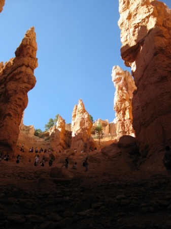 Zdjęcie ze Stanów Zjednoczonych - Bryce Canyon