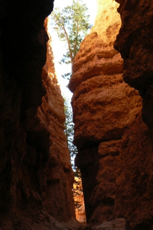Zdjęcie ze Stanów Zjednoczonych - Bryce Canyon
