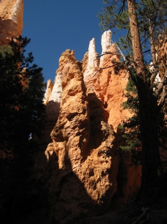 Zdjęcie ze Stanów Zjednoczonych - Bryce Canyon
