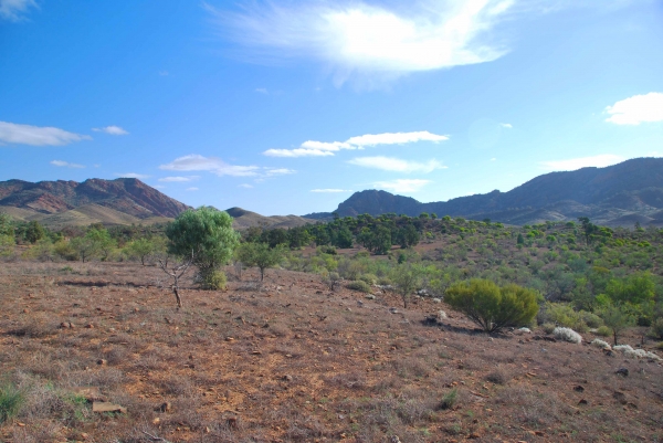 Zdjęcie z Australii - Krajobraz Flinders Ranges