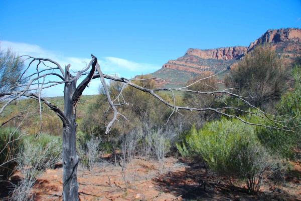 Zdjęcie z Australii - Arkaroo