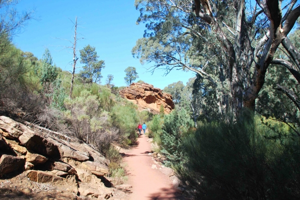 Zdjęcie z Australii - W drodze na Wangara