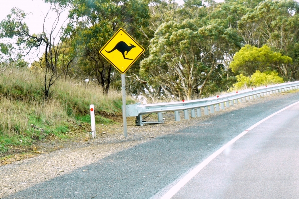 Zdjęcie z Australii - australijskie znaki