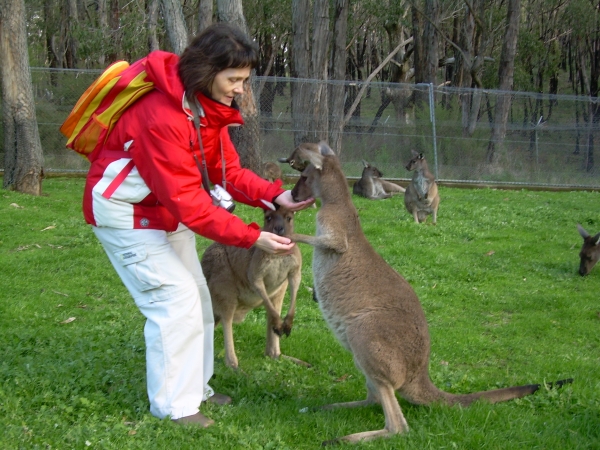 Zdjęcie z Australii - Cleland Wildlife Park