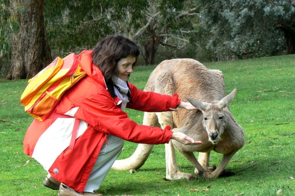 Zdjęcie z Australii - Cleland Wildlife Park