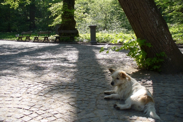 Zdjęcie z Ukrainy - 