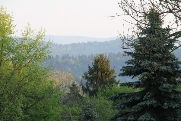 Zdjęcie z Polski - Bieszczady