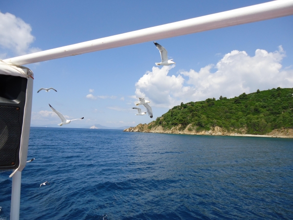Zdjęcie z Grecji - Wyspa Skiathos i Plaża Ko