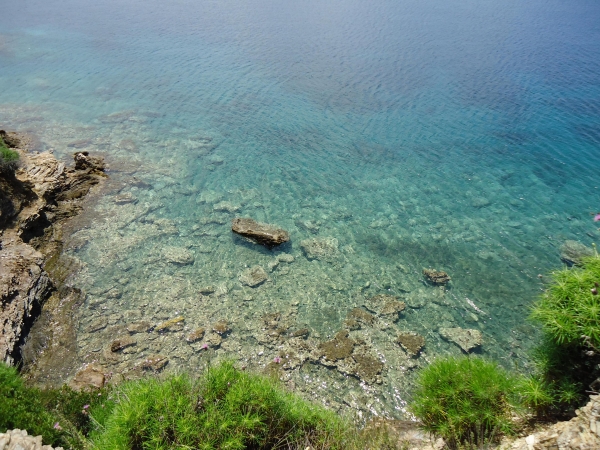 Zdjęcie z Grecji - Wyspa Skiathos i Plaża Ko