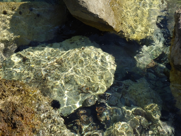 Zdjęcie z Grecji - Wyspa Skiathos i Plaża Ko