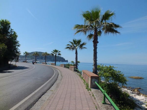 Zdjęcie z Włoch - Ischia