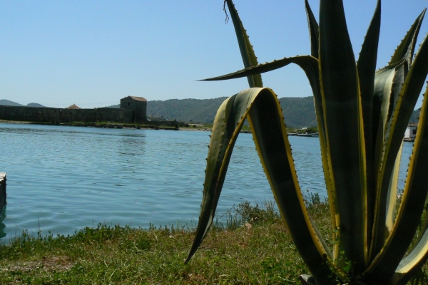 Zdjęcie z Albanii - Butrint