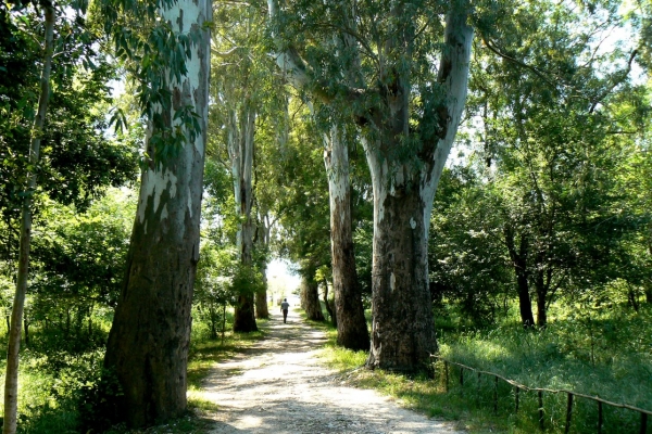 Zdjęcie z Albanii - Butrint