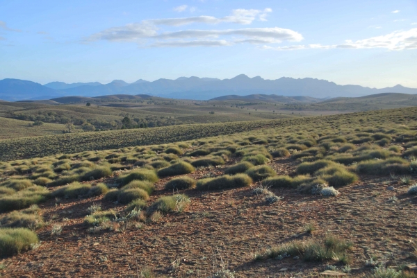 Zdjęcie z Australii - Krajobraz Flinders Ranges