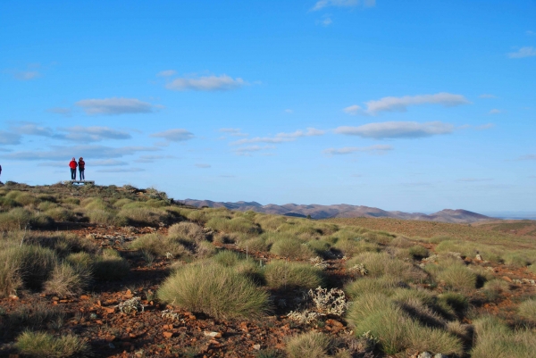 Zdjęcie z Australii - Flinders Ranges