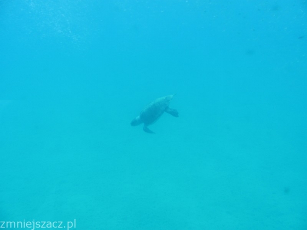 Zdjęcie z Grecji - 