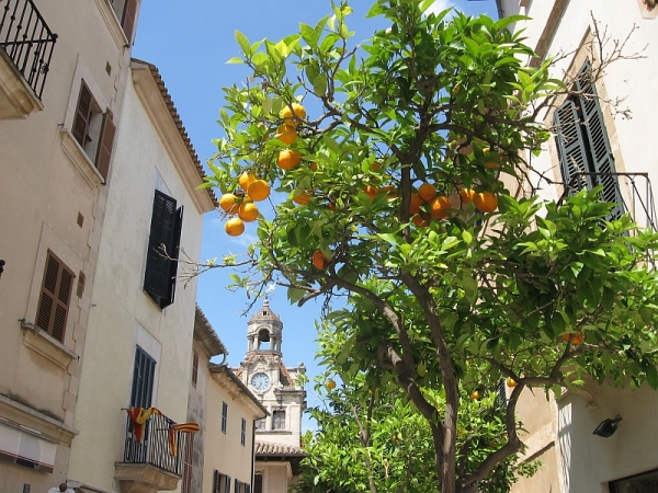 Zdjęcie z Hiszpanii - Alcudia