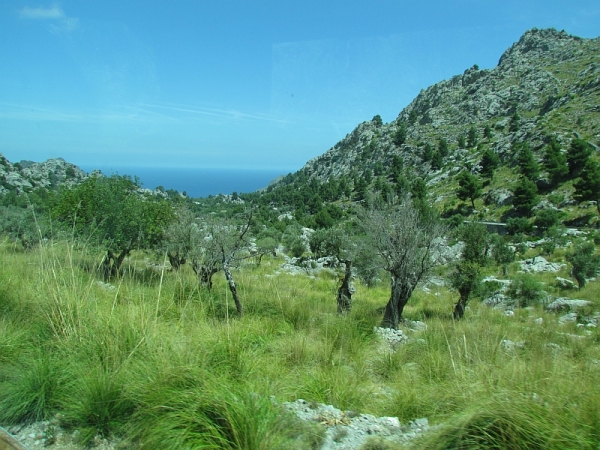 Zdjęcie z Hiszpanii - w drodze do Sa Calobra...