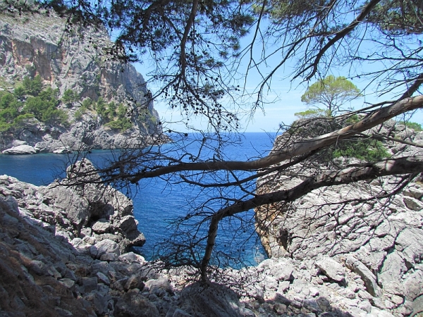 Zdjęcie z Hiszpanii - Sa Calobra