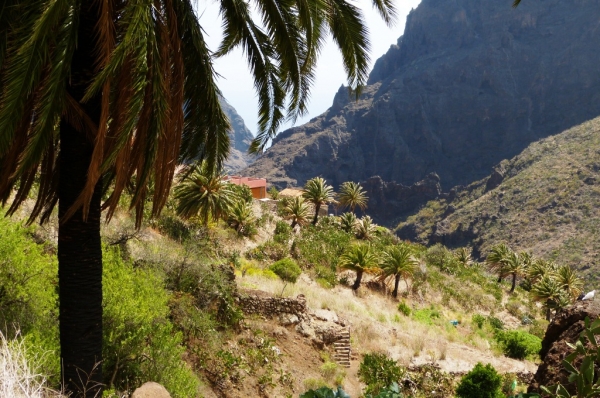 Zdjęcie z Hiszpanii - Barranco de Masca