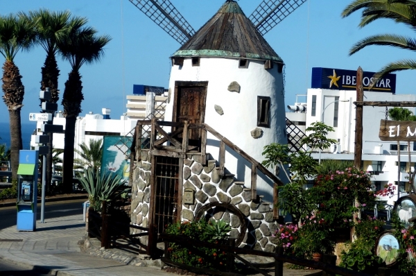Zdjęcie z Hiszpanii - Playa de las Americas