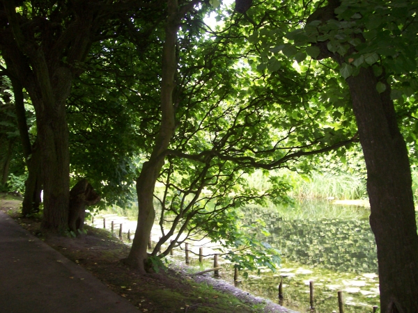 Zdjęcie z Polski - Park Oliwa