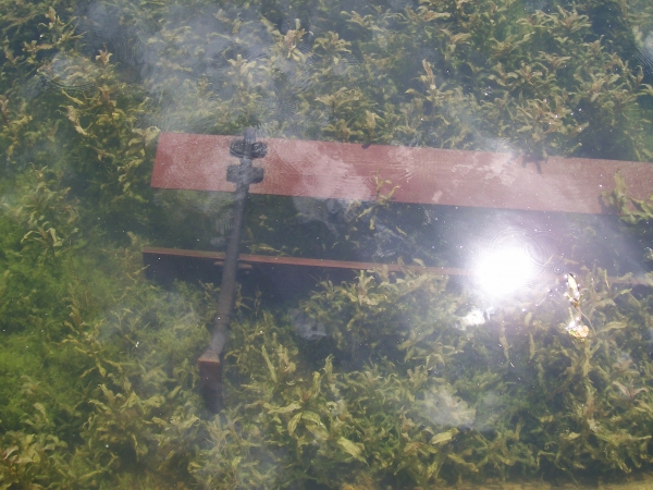 Zdjęcie z Polski - Kto zgadnie co to jest?