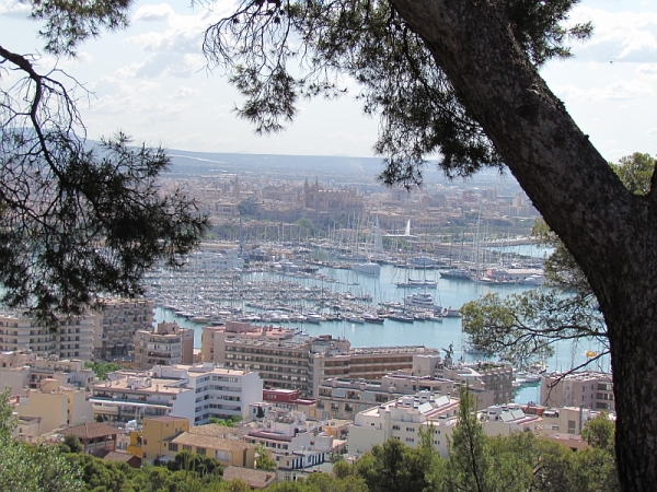 Zdjęcie z Hiszpanii - Palma de Mallorca