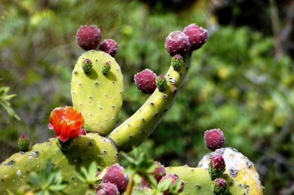 Zdjęcie z Hiszpanii - 